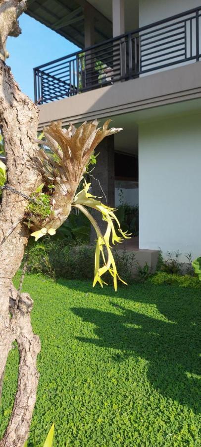 Indraprastha Cottage Ubud 외부 사진